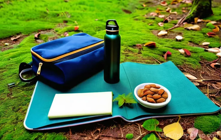 자연 속에서 명상하기 위한 준비물 - **Prompt:** A serene, tranquil natural sanctuary for meditation. A person, appearing to be around 25...
