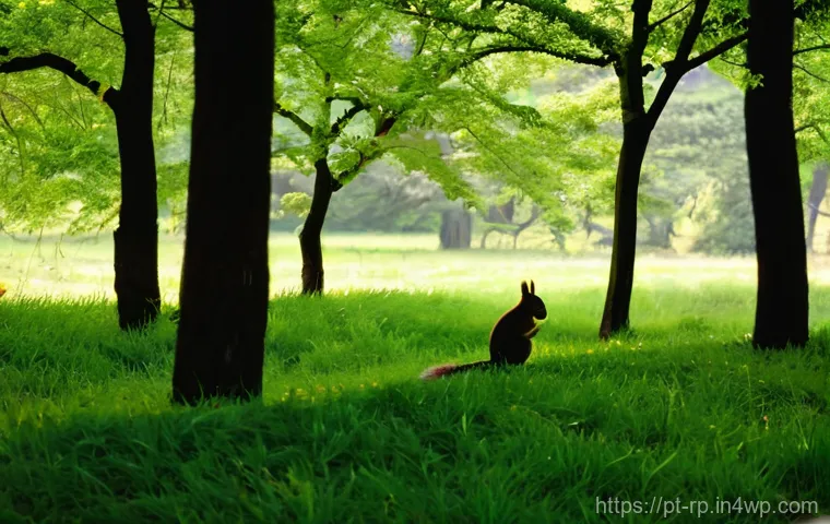 자연 속에서 명상하기 위한 준비물 - **Prompt:** A mindful preparation scene for a nature meditation session. A sturdy, yet aesthetically...