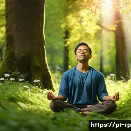 Home 30 자연 명상 중 느낄 수 있는 감정들 - A serene scene of a person meditating outdoors in a lush green forest during golden hour sunlight, s...