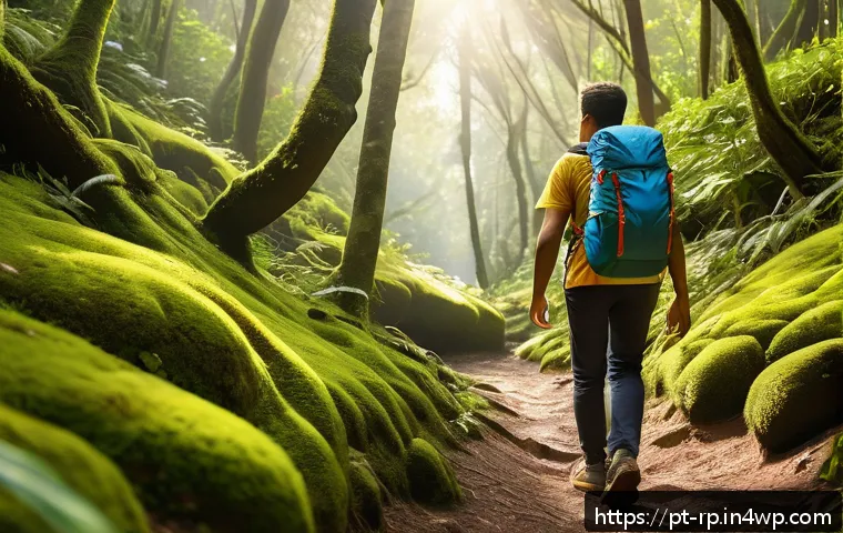 Transformações surpreendentes após a prática de meditação na natureza: um diário de autodescoberta 3 자연 명상 후의 변화 기록하기 관련 이미지 1